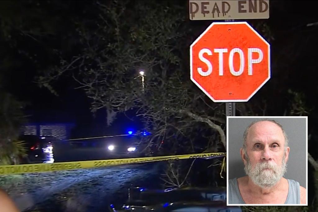 Florida man, 78, guns down neighbor for trimming trees over property line: cops