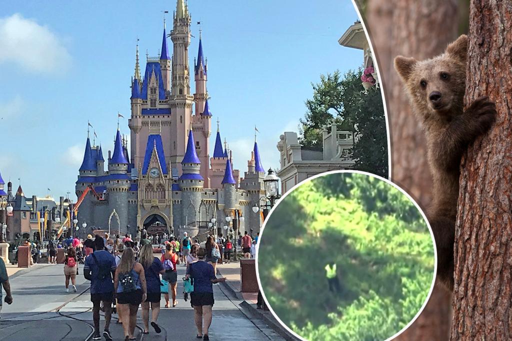 Bear's shocking visit to Disney World forces multiple ride closures