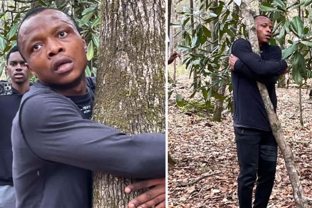 Abubakar Tahiru breaks Guinness World Record for most trees hugged in an hour