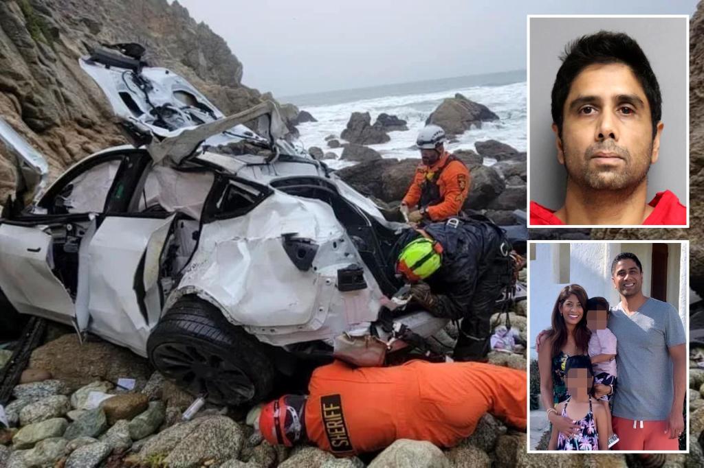 California doctor Dharmesh Patel who drove Tesla with family inside off cliff experienced 'psychotic' break during